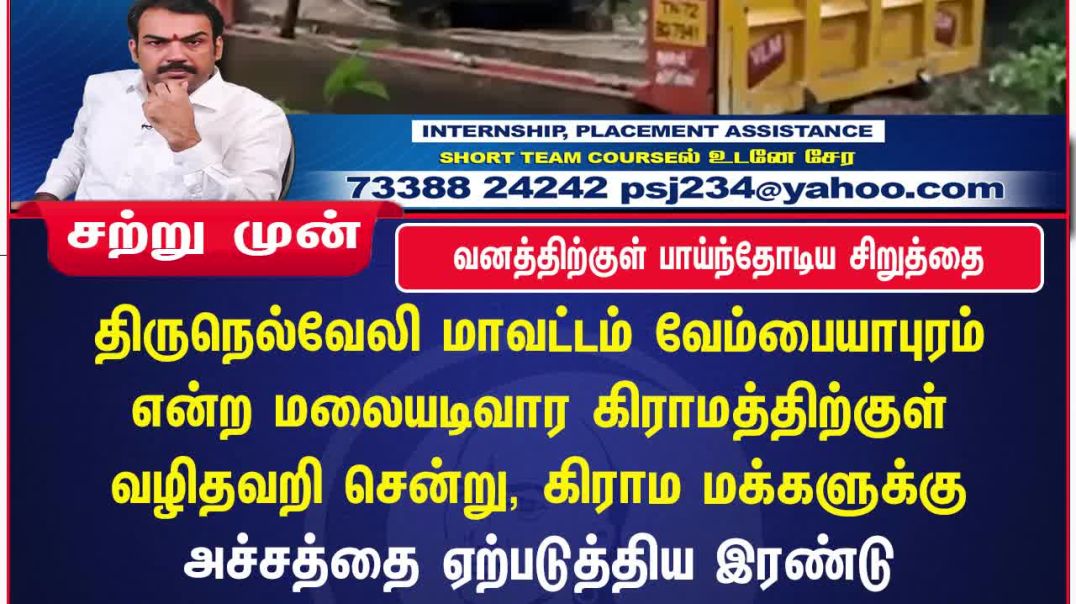 வனத்திற்குள் பாய்ந்தோடிய சிறுத்தை