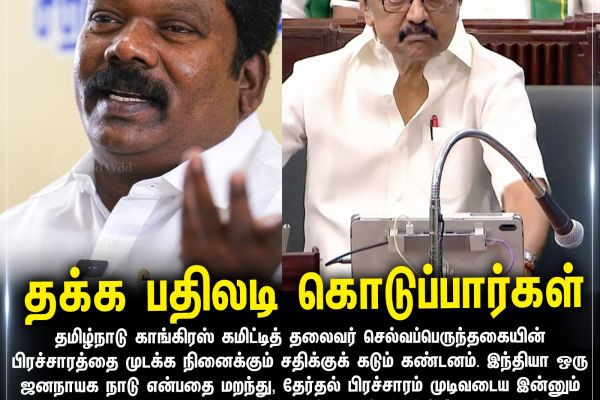 தக்க பதிலடி கொடுப்பார்கள்