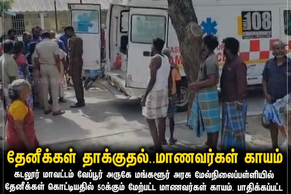 தேனீக்கள் தாக்குதல்.. மாணவர்கள் காயம்